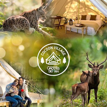Cocoon Village - Glamping - Domaine Des Grottes De Han Rochefort Eksteriør billede
