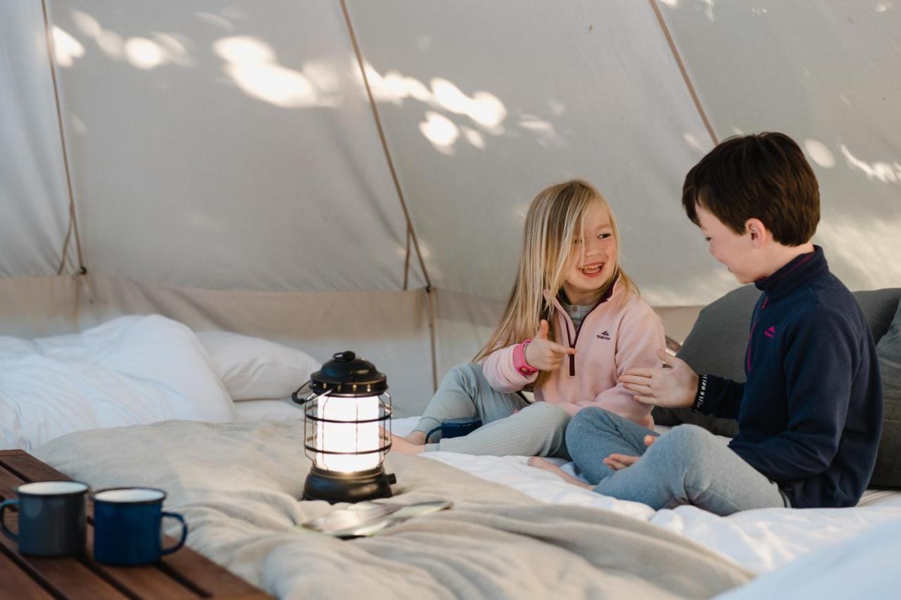 Cocoon Village - Glamping - Domaine Des Grottes De Han Rochefort Eksteriør billede
