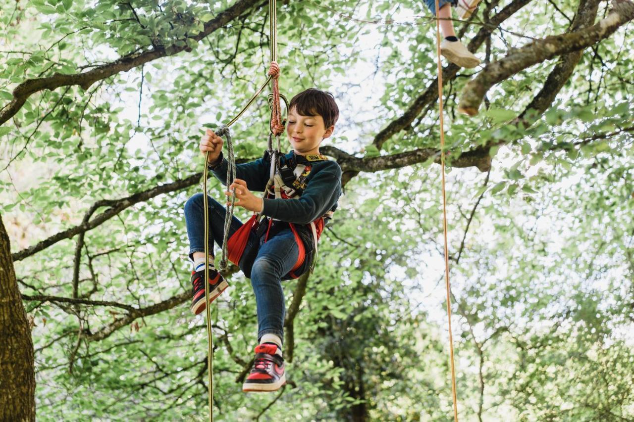 Cocoon Village - Glamping - Domaine Des Grottes De Han Rochefort Eksteriør billede