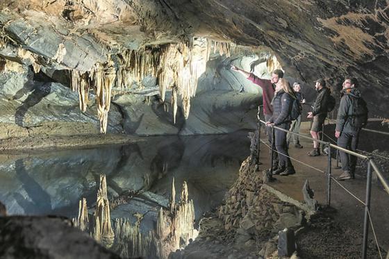 Cocoon Village - Glamping - Domaine Des Grottes De Han Rochefort Eksteriør billede