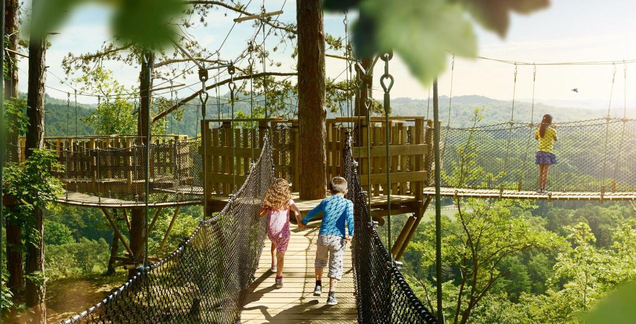 Cocoon Village - Glamping - Domaine Des Grottes De Han Rochefort Eksteriør billede