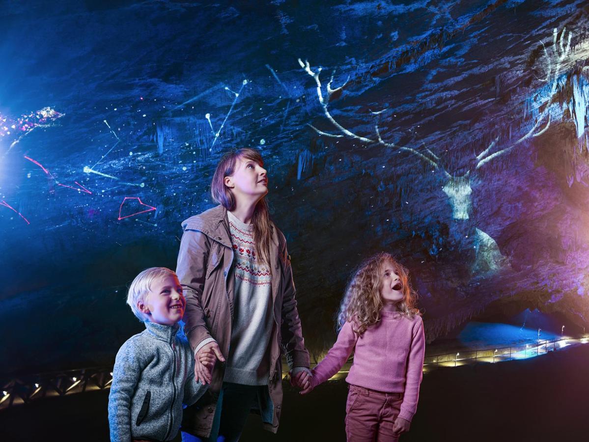Cocoon Village - Glamping - Domaine Des Grottes De Han Rochefort Eksteriør billede